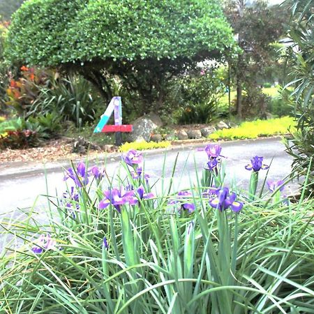 U Beauty - B & B Whangarei Kültér fotó