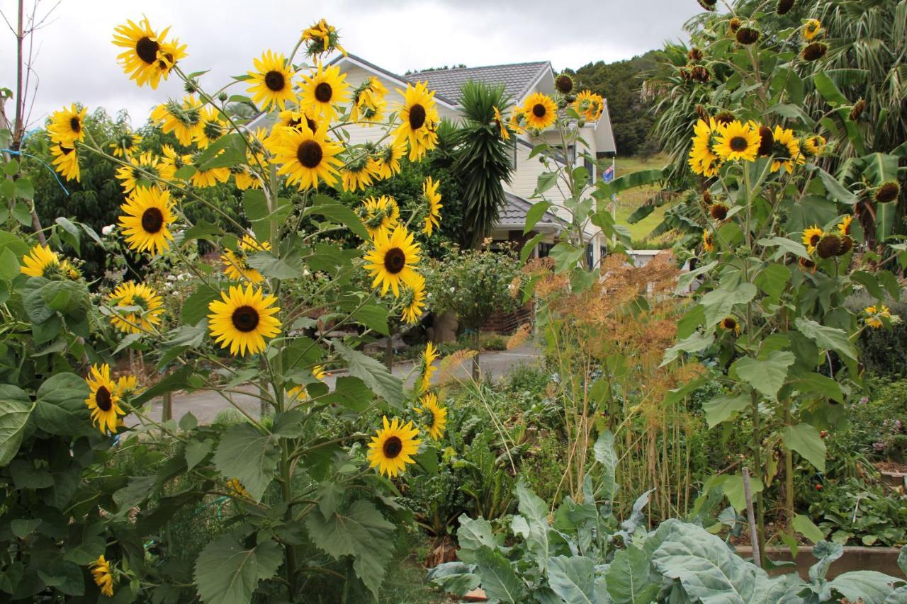 U Beauty - B & B Whangarei Kültér fotó